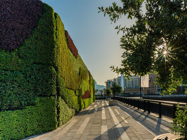 "دبي للعقارات" تكشف عن أكبر "جدار أخضر" بالشرق الأوسط في "دبي وورف"