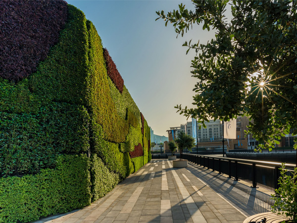 Dubai Properties Unveils Middle East’s Largest Living Green Wall at Dubai Wharf